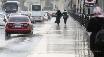 تغير مفاجئ.. الأرصاد تحذر من أمطار ورياح وتكشف حالة الطقس الساعات المقبلة 1